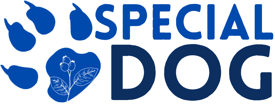 Special Dog